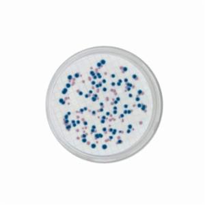 Biokar Chromogenic Coliform Agar (CCA) BK204HA