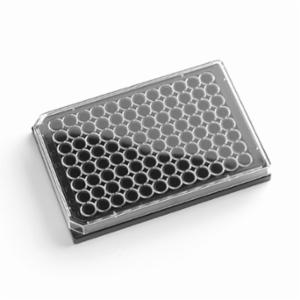 Porvair Sciences 96 Well 350 µl solid F bottom Polystyrene, Black assay plate, TC Treated, With Lid 205012