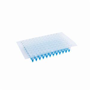 Porvair Sciences Adhesive Seal PCR - Lab Sheet SF20080LS