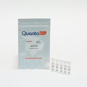 Quantabio 10mM dNTP Mix 1000UL, 5 X 200UL 95062-01K