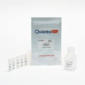 Quantabio AccuStart II PCR SuperMix, 4000R 95137-04K