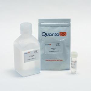 Quantabio Extracta DBS 10mL 95171-010