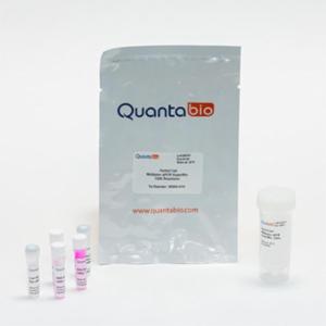 Quantabio PerfeCTa Multiplex qPCR SuperMix, 1000R 95063-01K