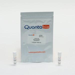 Quantabio PerfeCTa qPCR SuperMix L-ROX, 2000R 95052-02K