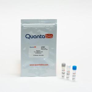 Quantabio qScript XLT One-Step RT-PCR Kit, 20R (SAMPLE) 95143-020