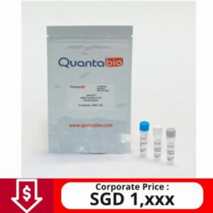 Quantabio qScript cDNA Synthesis Kit, 500R 95047-500