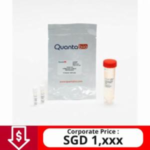 Quantabio qScript cDNA SuperMix, 500R 95048-500