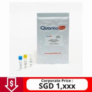 Quantabio qScript 1-Step SYBR Green qRT-PCR Kit, 200R 95087-200