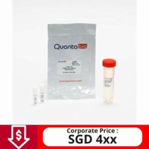 Quantabio PerfeCTa SYBR Green FastMix, LRX 250R 95074-250