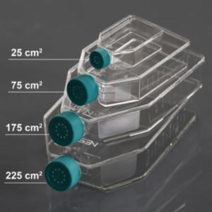 Wuxi Nest 25 cm2 Cell Culture Flask, Vent Cap, TC, Sterile, 10/pk, 200/cs 707003