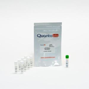 Quantabio AccuStart II PCR ToughMix, 100R (SAMPLE) 95142-100