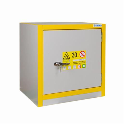 Ecosafe 30 min Fire resistance cabinet 30 L 3031E