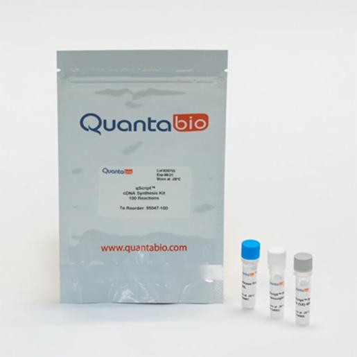 Quantabio qScript cDNA Synthesis Kit, 25R 95047-025