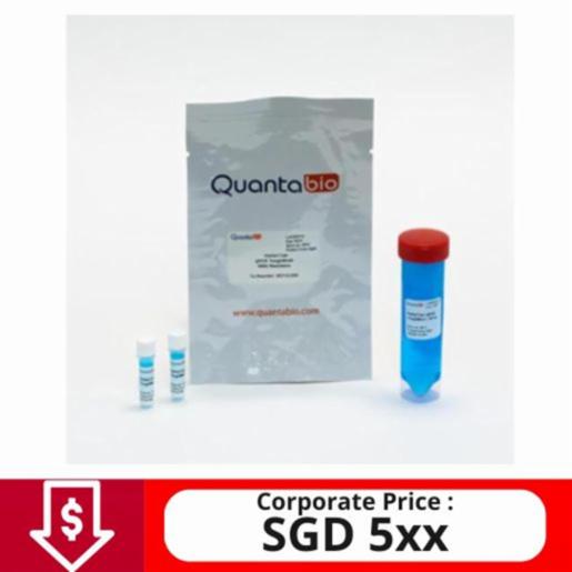 Quantabio Perfecta qPCR ToughMix, 250R 95112-250