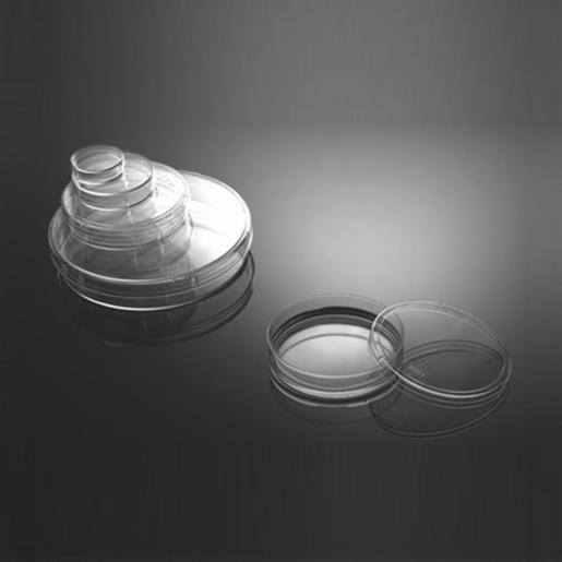 Wuxi Nest 100 mm Cell Culture Dish, TC, Sterile, 5/pk, 300/cs 704004